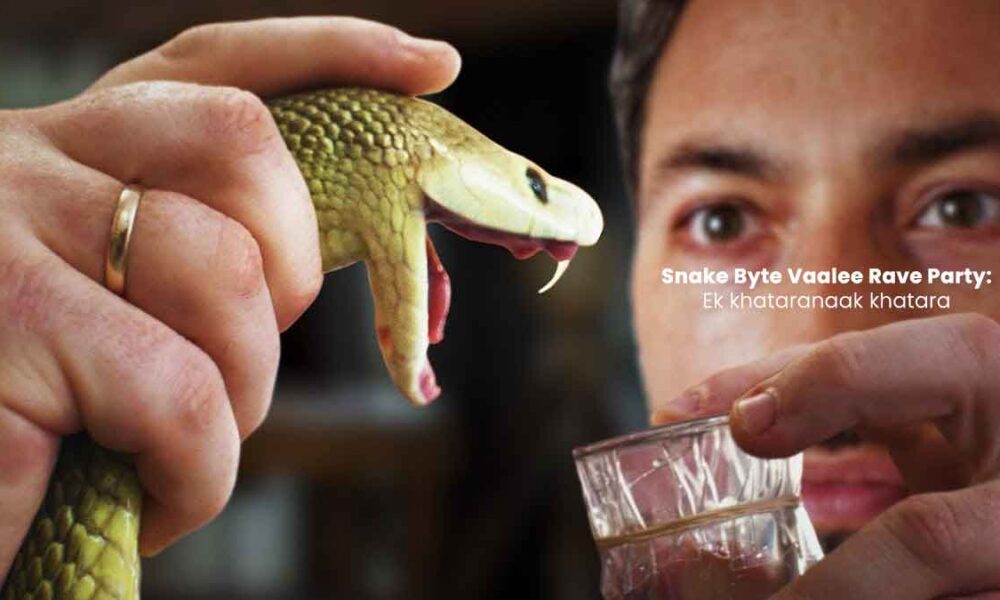 Snake Byte Vaalee Rave Party