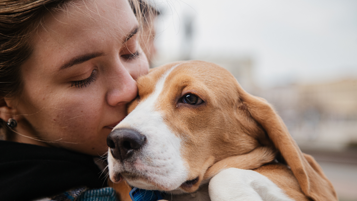 Dementia | Pets is best